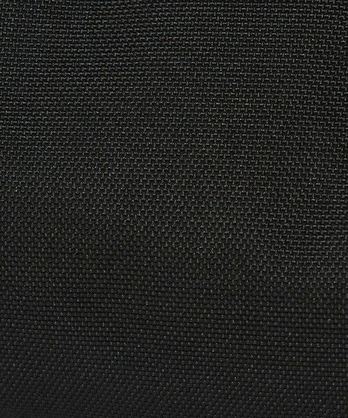 green label relaxing / グリーンレーベル リラクシング ポーチ | ＜JANSPORT＞パーフェクト ポーチ | 詳細4