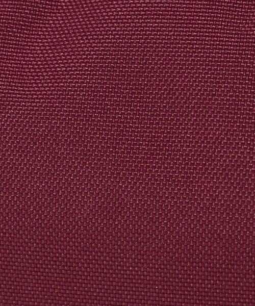 green label relaxing / グリーンレーベル リラクシング ポーチ | ＜JANSPORT＞パーフェクト ポーチ | 詳細17