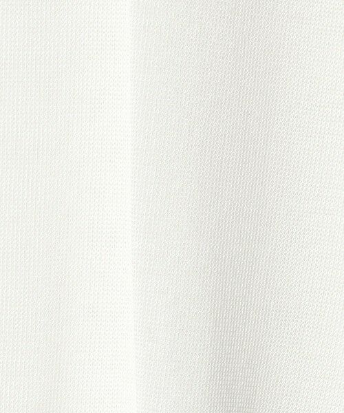 green label relaxing / グリーンレーベル リラクシング カットソー | レディ シアー タートルネック カットソー | 詳細6