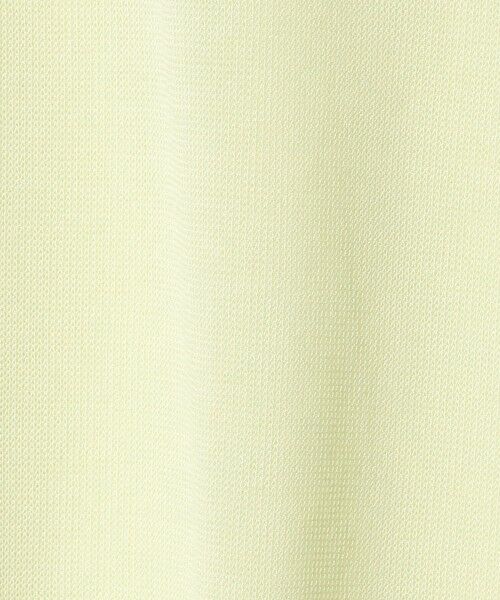 green label relaxing / グリーンレーベル リラクシング カットソー | レディ シアー クルーネック カットソー | 詳細30