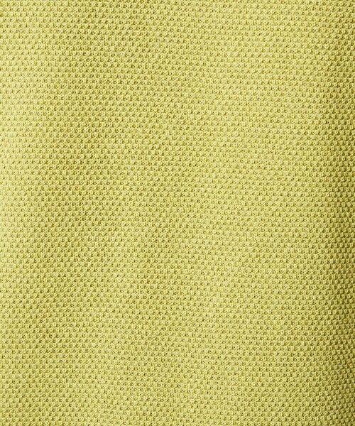 green label relaxing / グリーンレーベル リラクシング ニット・セーター | タック ピケ ビズ クルーネック ニット -ウォッシャブル- | 詳細18