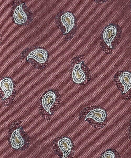 green label relaxing / グリーンレーベル リラクシング ネクタイ | GLR シルク4 8.0cm ペイズリー ネクタイ | 詳細3