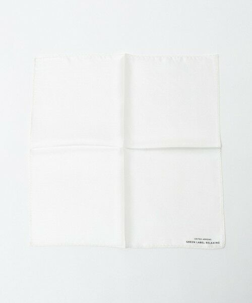 green label relaxing / グリーンレーベル リラクシング その他 | GLR シルク ソリッド ポケットチーフ | 詳細1
