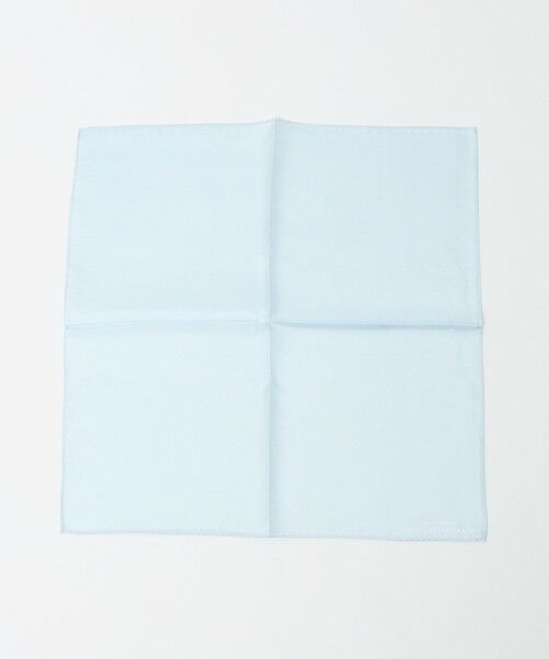 green label relaxing / グリーンレーベル リラクシング その他 | GLR シルク ソリッド ポケットチーフ | 詳細9