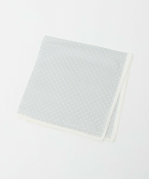 green label relaxing / グリーンレーベル リラクシング その他 | GLR シルク ドット ポケットチーフ（SILVER）