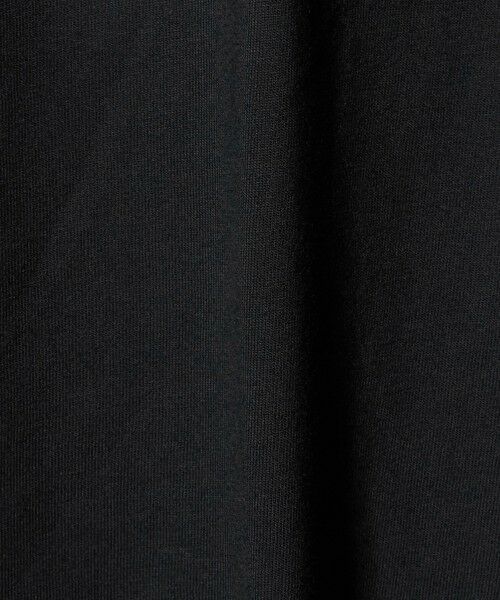 green label relaxing / グリーンレーベル リラクシング Tシャツ | ＜THE NORTH FACE＞ショートスリーブ フラッシュドライ ヌプシ Tシャツ | 詳細13