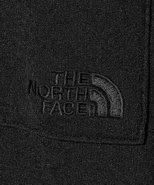 green label relaxing / グリーンレーベル リラクシング Tシャツ | ＜THE NORTH FACE＞S/S Crepe Weave T | 詳細3