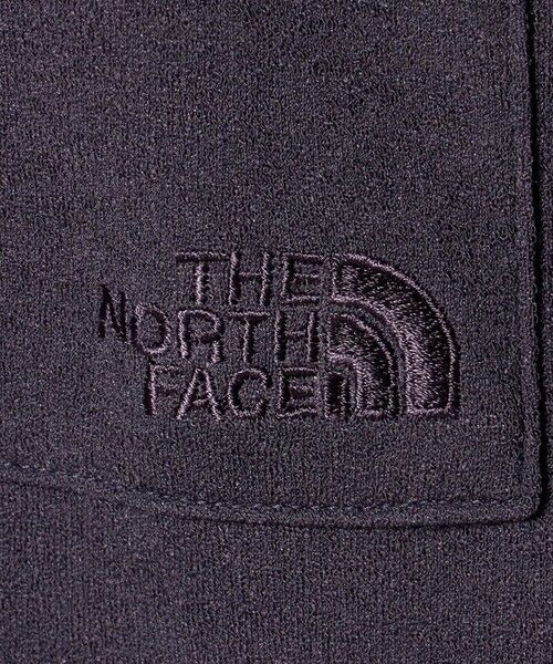 green label relaxing / グリーンレーベル リラクシング Tシャツ | ＜THE NORTH FACE＞S/S Crepe Weave T | 詳細16