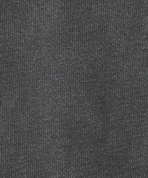 green label relaxing / グリーンレーベル リラクシング Tシャツ | 【別注】＜Champion＞フェード クルーネック 半袖 スウェット | 詳細6