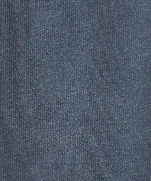 green label relaxing / グリーンレーベル リラクシング Tシャツ | 【別注】＜Champion＞フェード クルーネック 半袖 スウェット | 詳細26