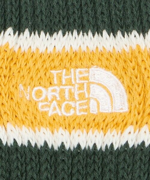 green label relaxing / グリーンレーベル リラクシング ソックス | 【WEB限定】＜THE NORTH FACE＞チューブ 2P クルー ソックス | 詳細5