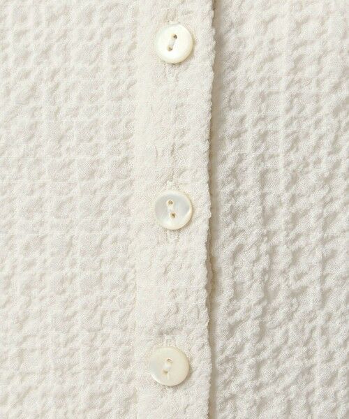 green label relaxing / グリーンレーベル リラクシング カットソー | 【WEB限定】＜at ease＞シアー サッカーライク エリツキ プルオーバー カットソー | 詳細5