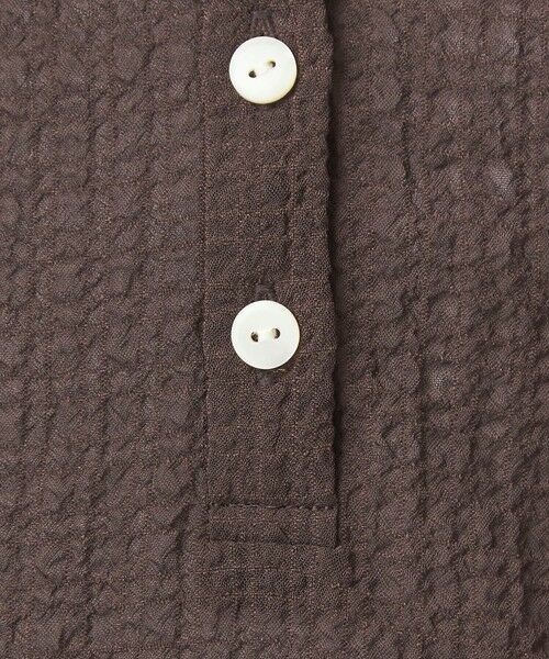 green label relaxing / グリーンレーベル リラクシング カットソー | 【WEB限定】＜at ease＞シアー サッカーライク エリツキ プルオーバー カットソー | 詳細11