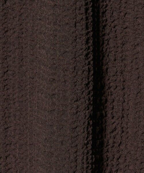 green label relaxing / グリーンレーベル リラクシング カットソー | 【WEB限定】＜at ease＞シアー サッカーライク エリツキ プルオーバー カットソー | 詳細17