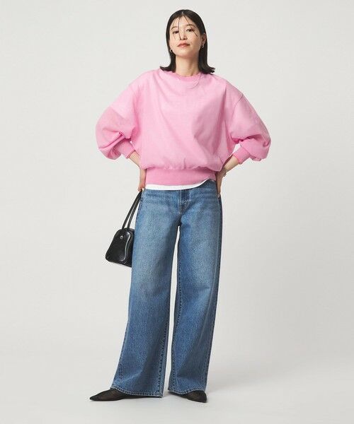 green label relaxing / グリーンレーベル リラクシング ニット・セーター | 【WEB限定】<at ease>バイカラー シアー ニット プルオーバー | 詳細17