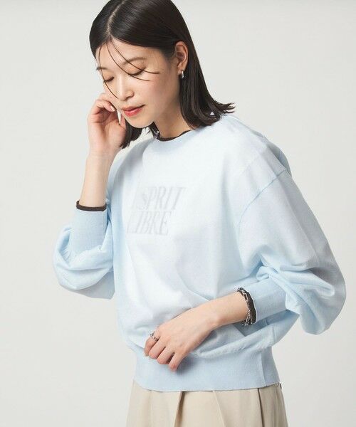 green label relaxing / グリーンレーベル リラクシング ニット・セーター | 【WEB限定】<at ease>バイカラー シアー ニット プルオーバー | 詳細22