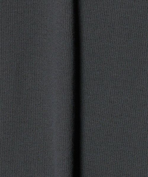 green label relaxing / グリーンレーベル リラクシング Tシャツ | シアー リンガー Tシャツ | 詳細6