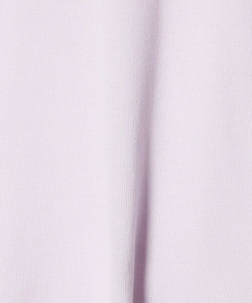 green label relaxing / グリーンレーベル リラクシング Tシャツ | シアー リンガー Tシャツ | 詳細9