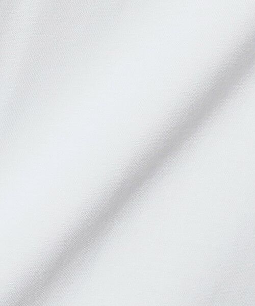 green label relaxing / グリーンレーベル リラクシング Tシャツ | 【WEB限定】＜FRED PERRY＞ツインティップ Tシャツ | 詳細8