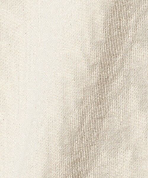 green label relaxing / グリーンレーベル リラクシング Tシャツ | 【別注】＜MIXTA＞ショートスリーブ プリント Tシャツ | 詳細2