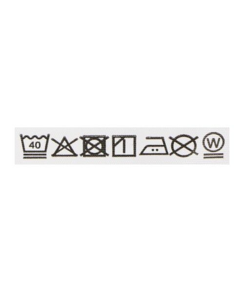 green label relaxing / グリーンレーベル リラクシング Tシャツ | 【別注】＜Champion＞プリント Tシャツ | 詳細24