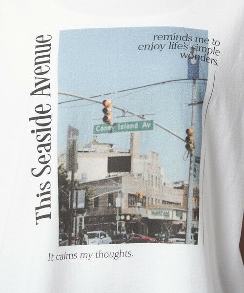 green label relaxing / グリーンレーベル リラクシング カットソー | 【WEB限定】＜at ease＞アソート フォトプリント ショートスリーブ カットソー | 詳細20