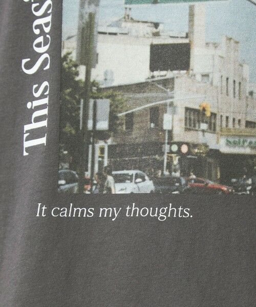 green label relaxing / グリーンレーベル リラクシング カットソー | 【WEB限定】＜at ease＞アソート フォトプリント ショートスリーブ カットソー | 詳細30