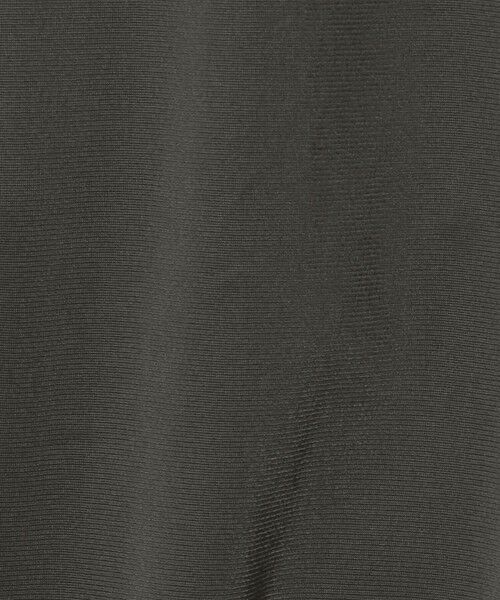 green label relaxing / グリーンレーベル リラクシング その他トップス | 【国内EXCLUSIVE】＜adidas Originals＞ファイヤーバード トラックトップ | 詳細15