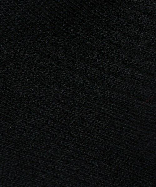 green label relaxing / グリーンレーベル リラクシング ソックス | ＜THE NORTH FACE＞ロゴ 3P クルーソックス / キッズ  16cm-18cm | 詳細2