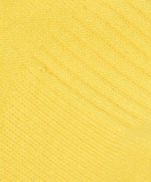 green label relaxing / グリーンレーベル リラクシング ソックス | ＜THE NORTH FACE＞ロゴ 3P クルーソックス / キッズ  16cm-18cm | 詳細8