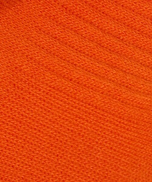 green label relaxing / グリーンレーベル リラクシング ソックス | ＜THE NORTH FACE＞ロゴ 3P クルーソックス / キッズ  16cm-18cm | 詳細14