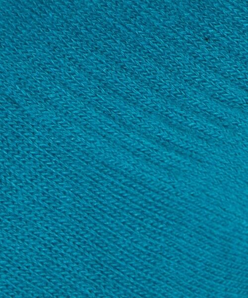 green label relaxing / グリーンレーベル リラクシング ソックス | ＜THE NORTH FACE＞ロゴ 3P クルーソックス / キッズ  16cm-18cm | 詳細20