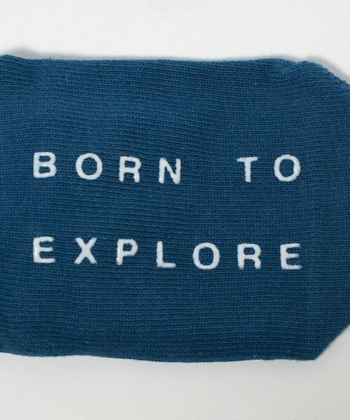 green label relaxing / グリーンレーベル リラクシング ソックス | 【WEB限定】＜THE NORTH FACE＞オーガニック 3Pソックス / キッズ  10cm-12cm | 詳細3