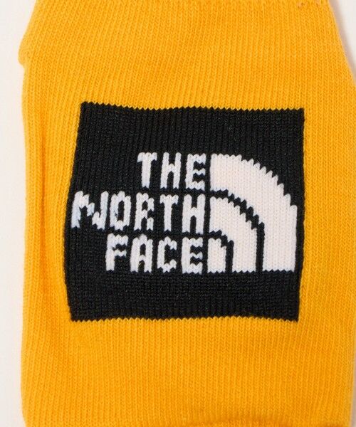 green label relaxing / グリーンレーベル リラクシング ソックス | 【WEB限定】＜THE NORTH FACE＞オーガニック 3Pソックス / キッズ  10cm-12cm | 詳細11