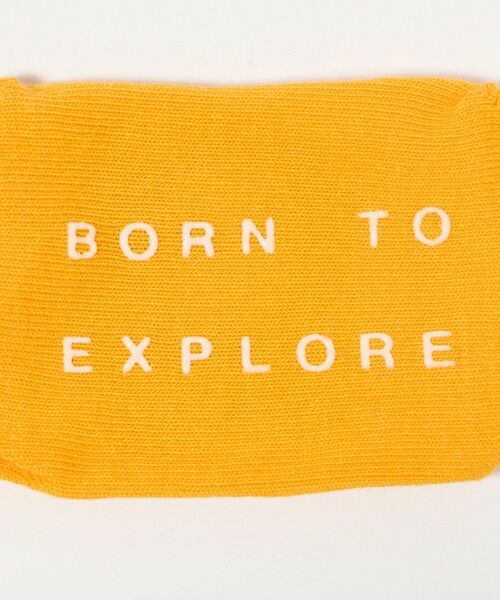 green label relaxing / グリーンレーベル リラクシング ソックス | 【WEB限定】＜THE NORTH FACE＞オーガニック 3Pソックス / キッズ  10cm-12cm | 詳細12