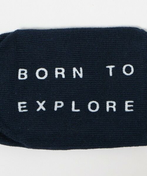 green label relaxing / グリーンレーベル リラクシング ソックス | 【WEB限定】＜THE NORTH FACE＞オーガニック 3Pソックス / キッズ  10cm-12cm | 詳細15