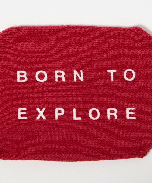 green label relaxing / グリーンレーベル リラクシング ソックス | 【WEB限定】＜THE NORTH FACE＞オーガニック 3Pソックス / キッズ  10cm-12cm | 詳細18