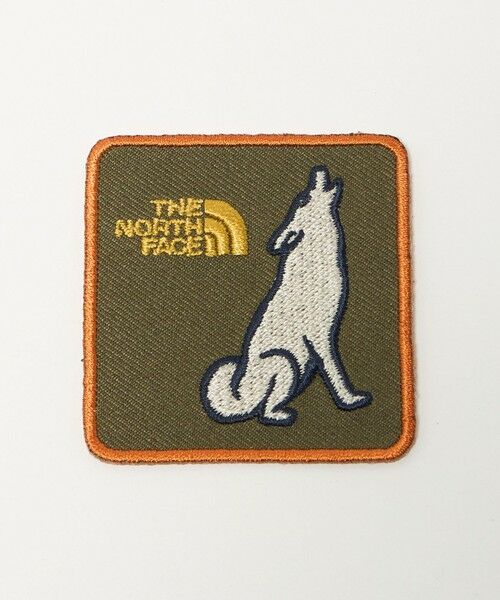 green label relaxing / グリーンレーベル リラクシング その他 | 【WEB限定】＜THE NORTH FACE＞ ワッペン / キッズ | 詳細16