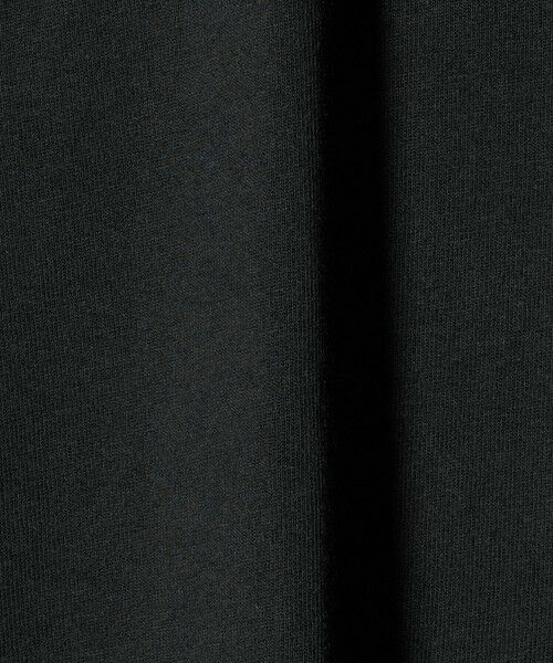 green label relaxing / グリーンレーベル リラクシング カットソー | ＜Champion＞ショート スリーブ Tシャツ / キッズ  140cm-160cm | 詳細11