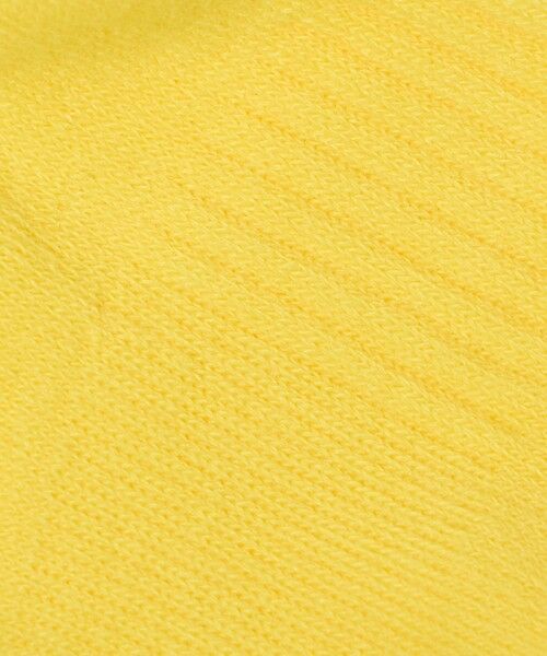 green label relaxing / グリーンレーベル リラクシング ソックス | ＜THE NORTH FACE＞ジャガード ロゴ 3P クルーソックス / キッズ | 詳細11