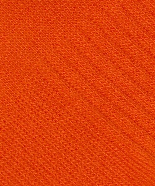 green label relaxing / グリーンレーベル リラクシング ソックス | ＜THE NORTH FACE＞ジャガード ロゴ 3P クルーソックス / キッズ | 詳細20