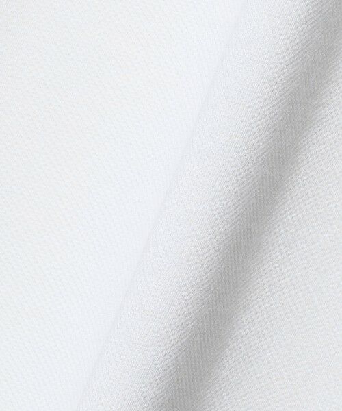 green label relaxing / グリーンレーベル リラクシング ポロシャツ | ＜gim＞26SS アメリカンシーアイランド ビズ ポロシャツ -吸水速乾- | 詳細2
