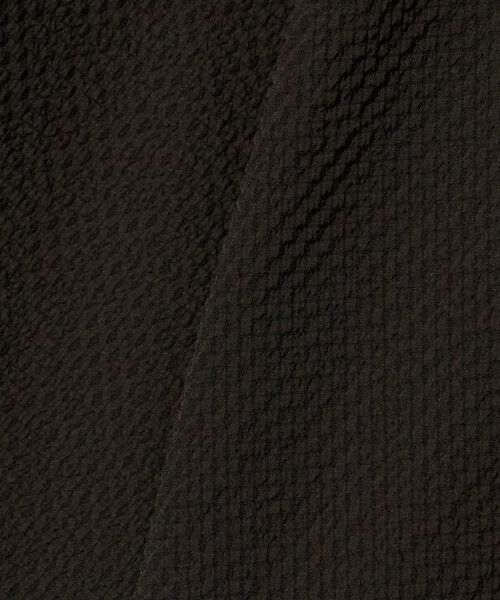 green label relaxing / グリーンレーベル リラクシング シャツ・ブラウス | 【WEB限定】＜GLR or＞ジップ ショートスリーブ 半袖 シャツ -吸水速乾- | 詳細27