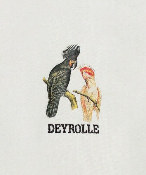 green label relaxing / グリーンレーベル リラクシング Tシャツ | DEYROLLE GLR プリント クルーネック 半袖 Tシャツ | 詳細5