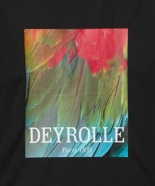 green label relaxing / グリーンレーベル リラクシング Tシャツ | DEYROLLE GLR プリント クルーネック 半袖 Tシャツ | 詳細17