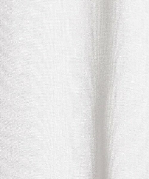 green label relaxing / グリーンレーベル リラクシング Tシャツ | ＜THE NORTH FACE＞ショートスリーブ ヒストリカル ロゴ 半袖 Tシャツ | 詳細4