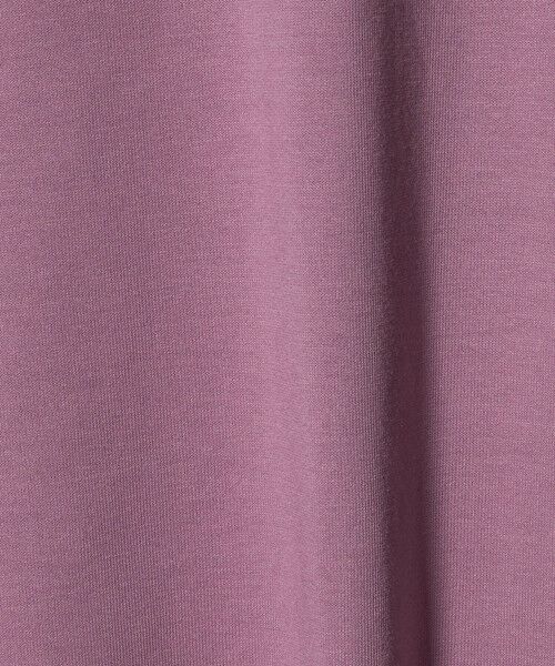 green label relaxing / グリーンレーベル リラクシング Tシャツ | ＜THE NORTH FACE＞ショートスリーブ ヒストリカル ロゴ 半袖 Tシャツ | 詳細14