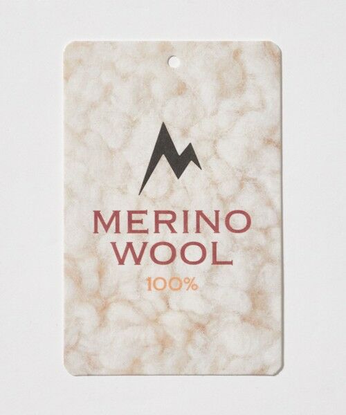 green label relaxing / グリーンレーベル リラクシング Tシャツ | 【別注】＜Marmot＞メリノウール 半袖 Tシャツ | 詳細6