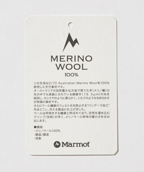 green label relaxing / グリーンレーベル リラクシング Tシャツ | 【別注】＜Marmot＞メリノウール 半袖 Tシャツ | 詳細7