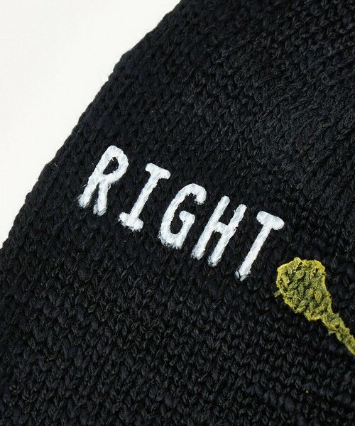 green label relaxing / グリーンレーベル リラクシング ソックス | 【別注】＜ROSTER SOX＞ ペイントソックス | 詳細6